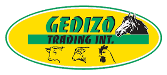 dutchmoors%20logo%20liggend