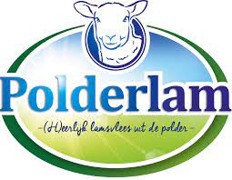 dutchmoors%20logo%20liggend